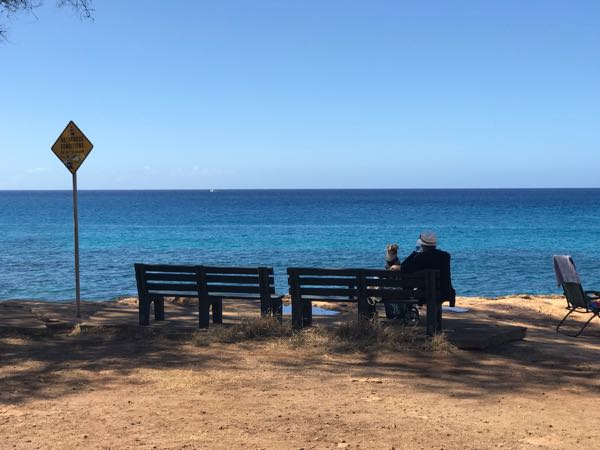 rblog-20190225215927-00.jpg