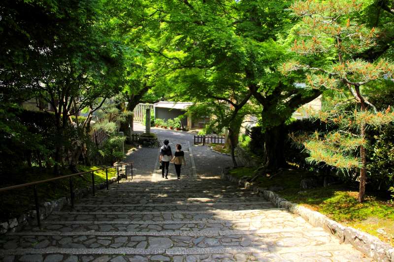 安楽寺_004山門より参道俯瞰.jpg