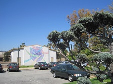 20140907look younger.jpg