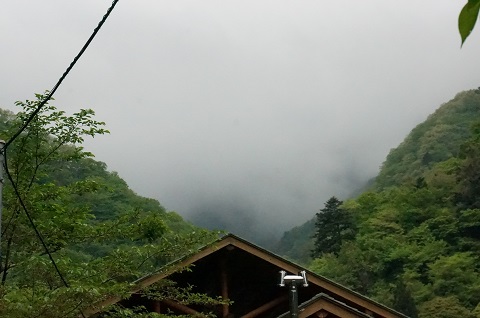 DSC06482.JPG