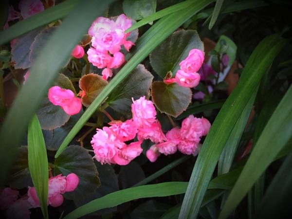 rblog-20160710211216-09.jpg