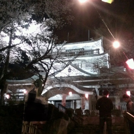 夜桜.jpg