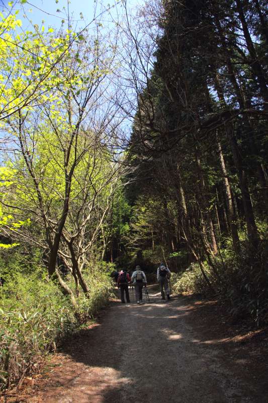 金剛山_003.jpg