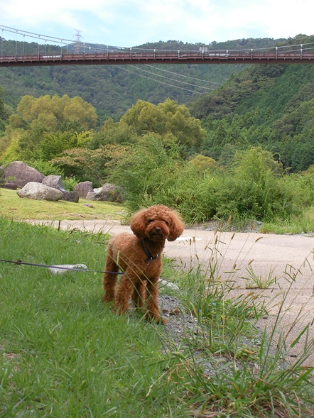 SANY0284_R.JPG