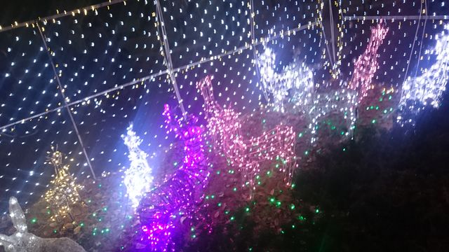 2015-12-20 18.24.44.jpg