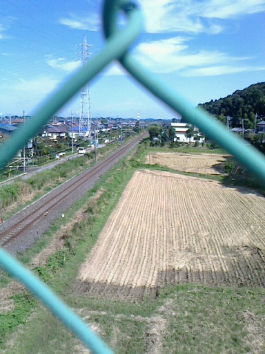 NEC_0317.jpg2.jpg