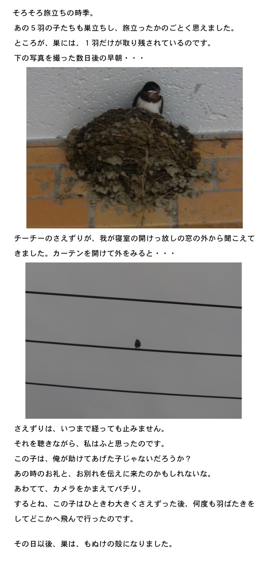 2013.07.11-2.jpg