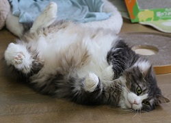 5DA_6806-26.jpg