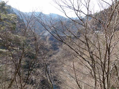P1030188.JPG