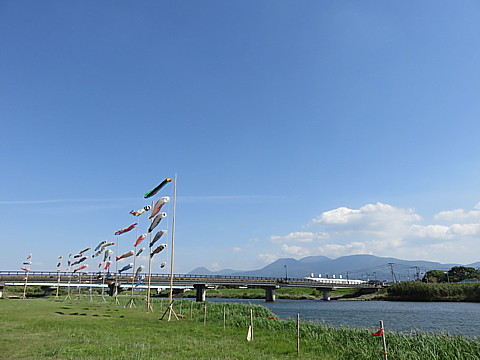 IMG_1040.jpg