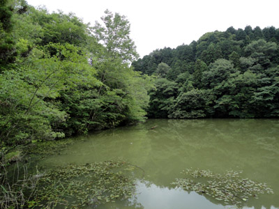 DSC01383-.jpg
