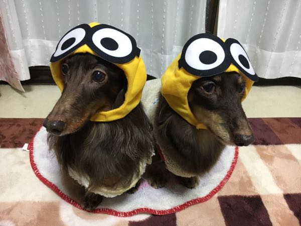 rblog-20181222181827-00.jpg