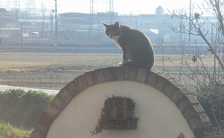 IMG_5814ss.jpg