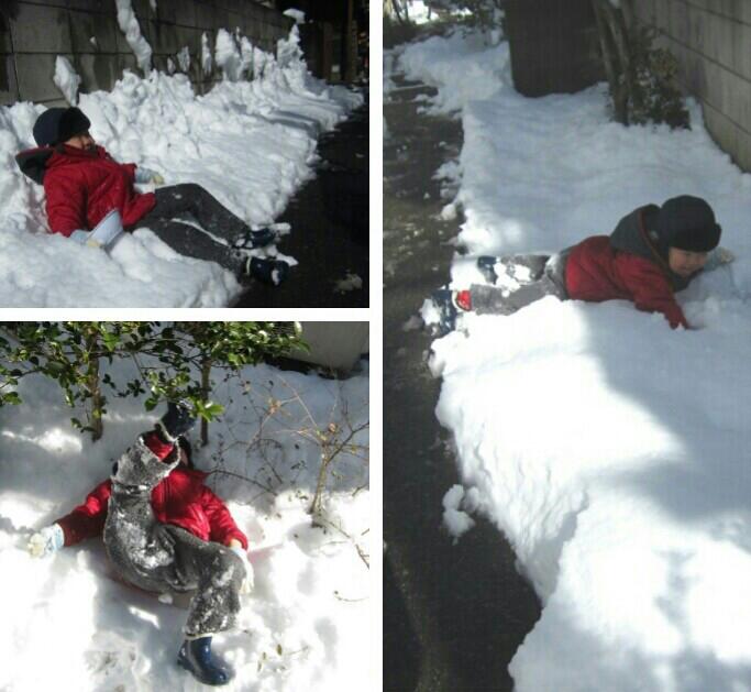 2014.02.09 雪かき3.jpg