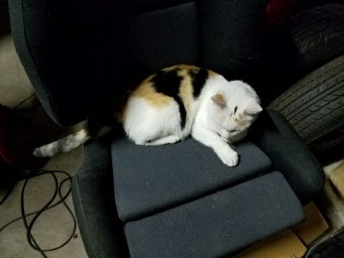 rblog-20180830005900-03.jpg