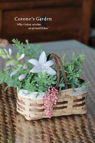 コピー ~ IMG_3341.JPG