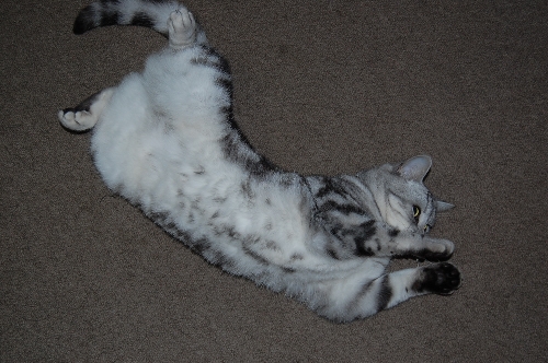 DSC_0042.JPG