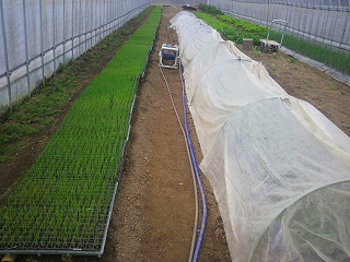 2012040111440000.jpg