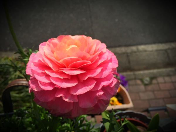 rblog-20160225161017-00.jpg