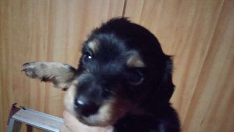 rblog-20141203211828-01.jpg