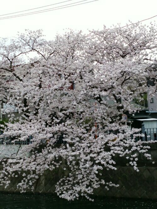 rblog-20160407173157-03.jpg