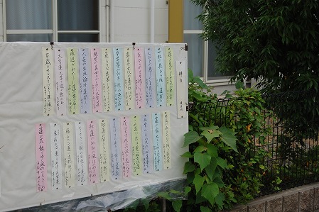 s-DSC_0944.jpg