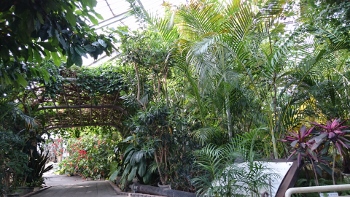 DSC_3839 (350x197).jpg