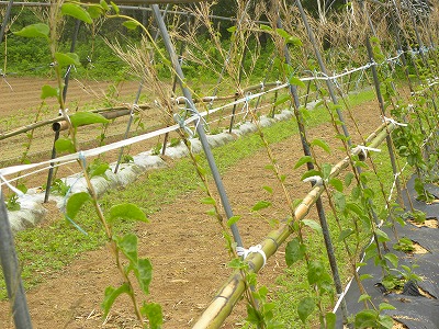 DSCN9327.jpg