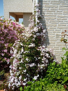 P1180585ss.jpg