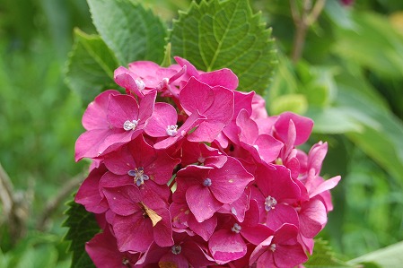 DSC_0953.jpg