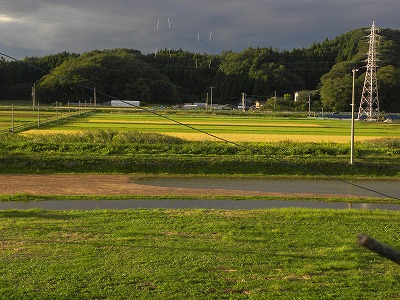DSCN0196.jpg