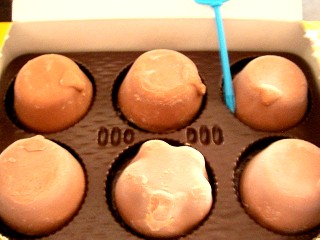 SANY0178.JPG