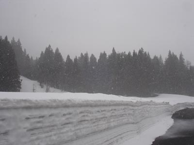 雪