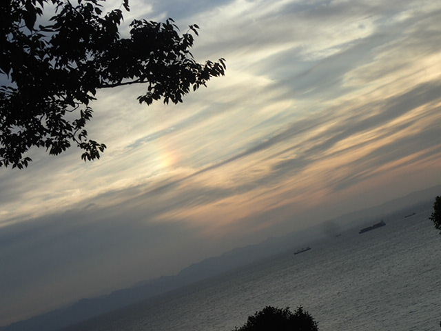 1709140268.JPG