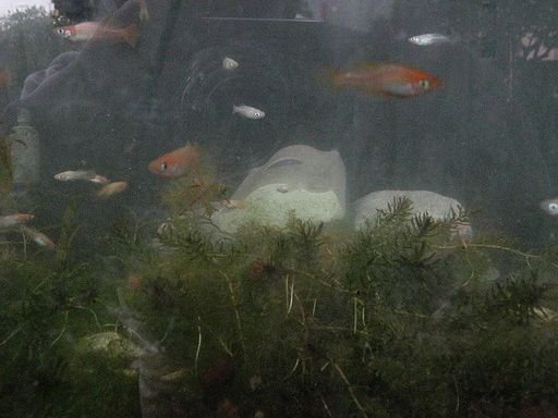 IMG_2899.JPG