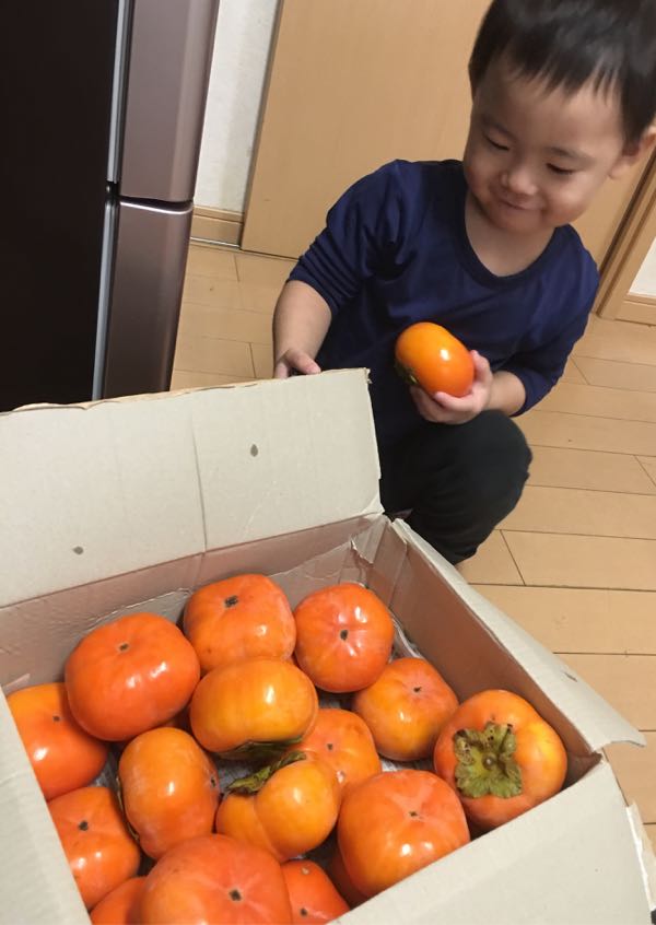 rblog-20161115224702-02.jpg