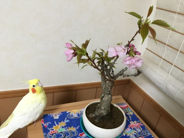 rblog-20160323181006-04.jpg