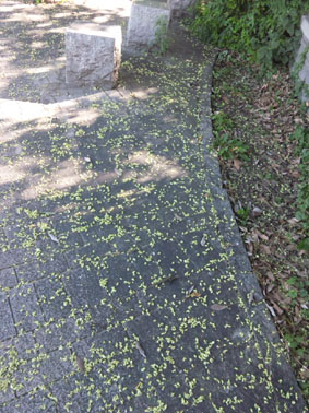 SH3L06300001+.jpg