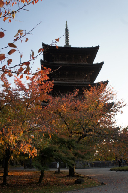 東寺塔.jpg