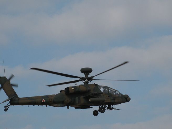 自衛隊0123.jpg