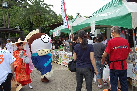 s-DSC_0395.jpg