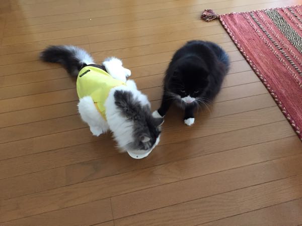rblog-20151014123809-02.jpg