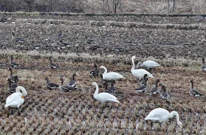 IMG_4717 (800x523).jpg