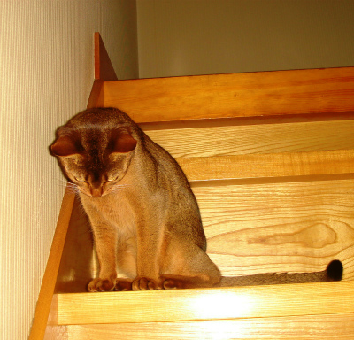 DSC07816.jpg