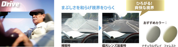 polatech_img_drive.jpg