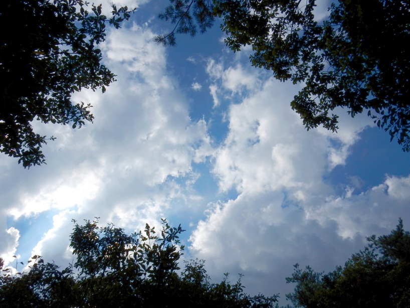 空2.JPG