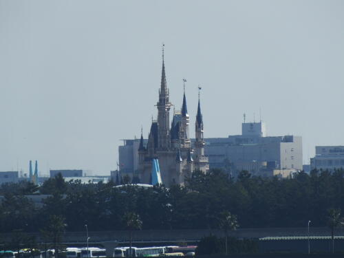 葛西臨海公園にて