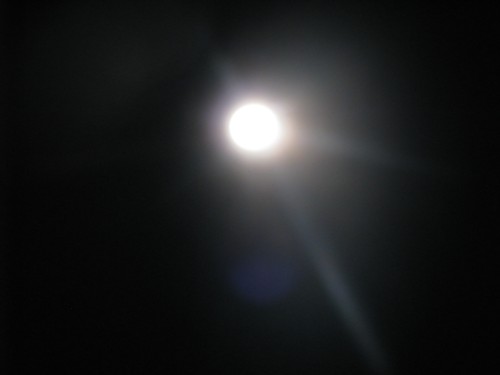 bluemoon4.jpg