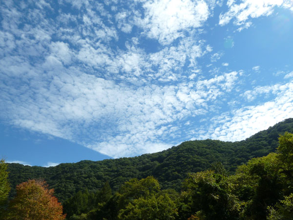 うろこ雲602.jpg