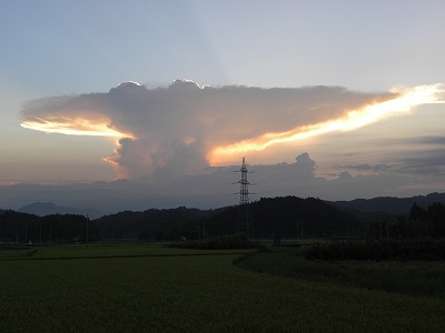 DSCN9781.jpg
